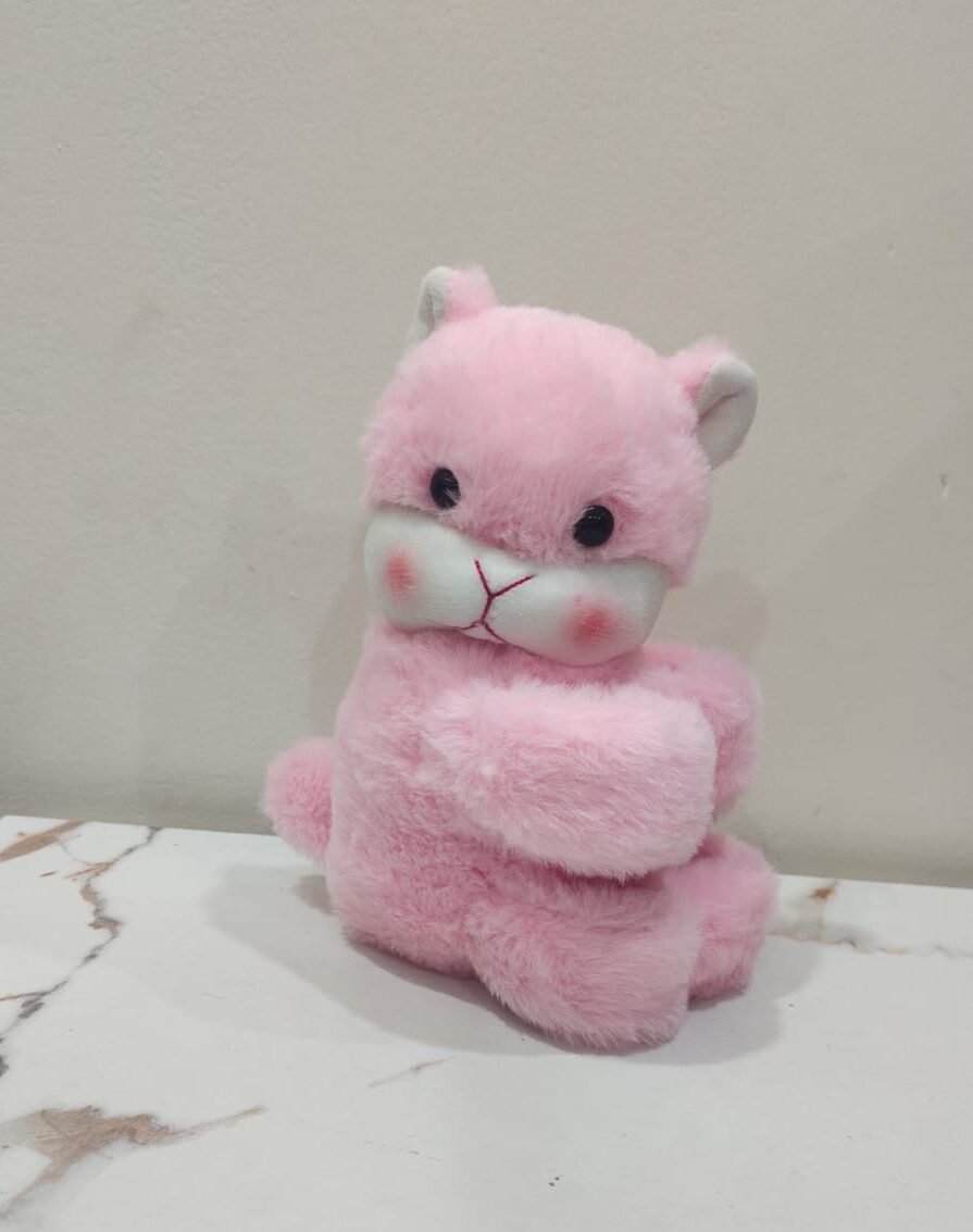 Pink Cat